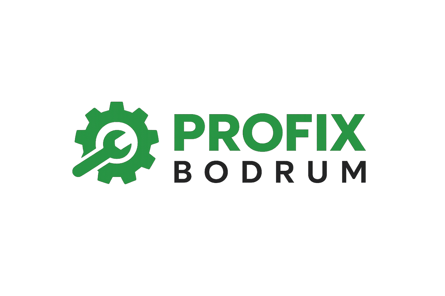 Profix Bodrum Logo